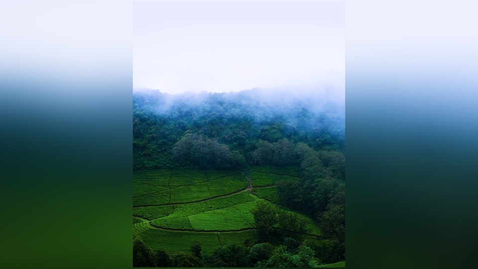 Meghamalai in Tamil Nadu. (Instagram/@tamilnadutourismofficial) Meghamalai in Tamil Nadu. (Instagram/@tamilnadutourismofficial)