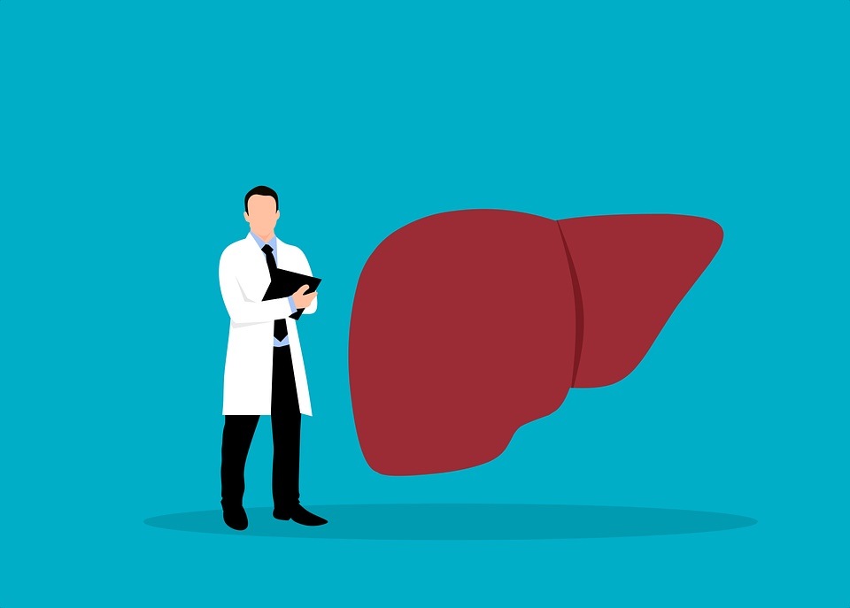 Liver infections or hepatitis can reach epidemic proportions during monsoon and are mostly caused by A and E viruses. (Pixabay) Liver infections or hepatitis can reach epidemic proportions during monsoon and are mostly caused by A and E viruses. (Pixabay)
