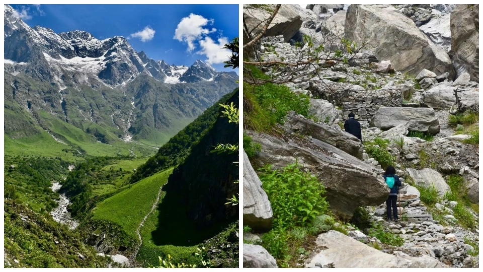 Valley Of Flowers in Uttarakhand.&nbsp;(Instagram/@Indiantreks)