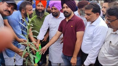MLA Daljit Singh Bhola Grewal and MC officials planting saplings to kick off the drive in Ludhiana on Saturday. (Harvinder Singh/HT)