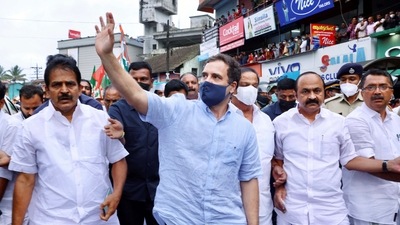 Congress leader Rahul Gandhi in Wayanad. (ANI Photo) (ANI) Congress leader Rahul Gandhi in Wayanad. (ANI Photo) (ANI)