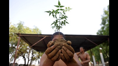 With the arrival of the monsoon, the PMC has planned a tree plantation drive to increase green cover at hill tops and other public spaces in the city. (REPRESENTATIVE IMAGE)