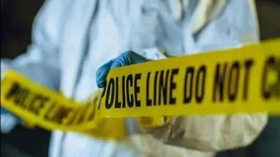 Businessman shot dead in Bihar, wife injured picture