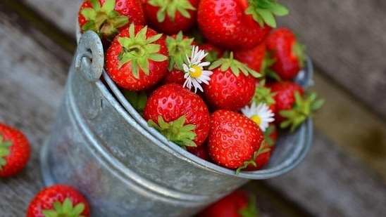Fruits: They are rich in vitamins, minerals, and antioxidants, which should be included in every person’s diet. Although fruits have sugar, they also contain fibre, making them slower to digest and less likely to cause a sugar spike. However, one should pick safer fruits for diabetes after consultation with a health expert.(Pixabay)