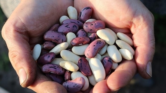 Legumes: Even though legumes like peas and legumes are considered high in carbohydrates, they are equally high in protein and fibre, along with different vitamins and minerals. They are an essential part of a healthy diet and should be included in a diabetic patient's meal as they are a good source of nutrition. Further, legumes are low on the glycemic index and can help manage blood sugar levels better than many other starchy foods.(Pixabay)