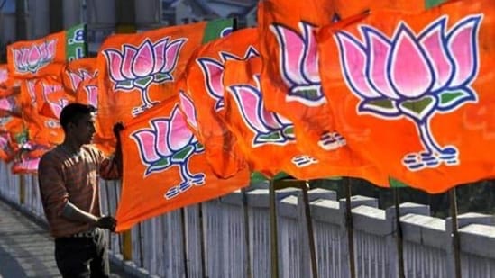 A Bharatiya Janta Party worker erecting BJP flags. (File image)(Nitin Kanotra / Hindustan Times)