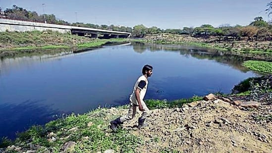 Under the orders of the Delhi High Court, the Delhi Development Authority (DDA) is in the process of restoring Neela Hauz, a large pond in south Delhi. By March 2013, it is scheduled to complete the work that involves removing weed and hyacinth infestation, dredging, planting local trees and shrubs and constructing walking tracks. (Photo by Arun Sharma/Hindustan Times)