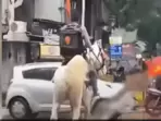 A Swiggy delivery person sitting on top of a horse, with his food delivery bag on his back and riding through a flooded stretch in the city.&nbsp;