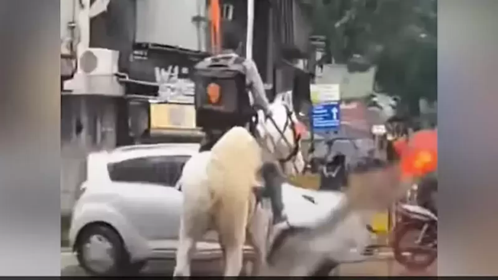 It takes a horse to deliver food in inundated Mumbai | Watch