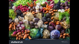 Best varieties of vegetables including palak, chaurai, nenua, taruyi, lauki and kohara and bio fertilisers were distributed among the farmers for producing vegetables at kitchen gardens or rooftops. (FOR REPRESENTATION PURPOSE)