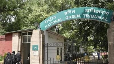 The directions were issued by the principal bench headed by NGT chairperson Adarsh Kumar Goel on a petition filed by an NGO, Green Earth, seeking the intervention of the tribunal over the cutting of 24 trees of indigenous species at Jyotisar. (HT file photo) The directions were issued by the principal bench headed by NGT chairperson Adarsh Kumar Goel on a petition filed by an NGO, Green Earth, seeking the intervention of the tribunal over the cutting of 24 trees of indigenous species at Jyotisar. (HT file photo)