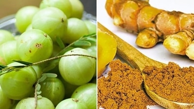 Amla and turmeric: Combination of equal quantities of amla and turmeric is known as Nisha amalki. One of the best among antidiabetic formulations. Amla and turmeric: Combination of equal quantities of amla and turmeric is known as Nisha amalki. One of the best among antidiabetic formulations.