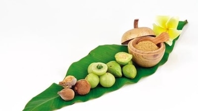 Trikatu: It is an ayurvedic formulation consisting of 3 herbs - Marich, Pippali and Shunthi (Shutterstock) Trikatu: It is an ayurvedic formulation consisting of 3 herbs - Marich, Pippali and Shunthi (Shutterstock)