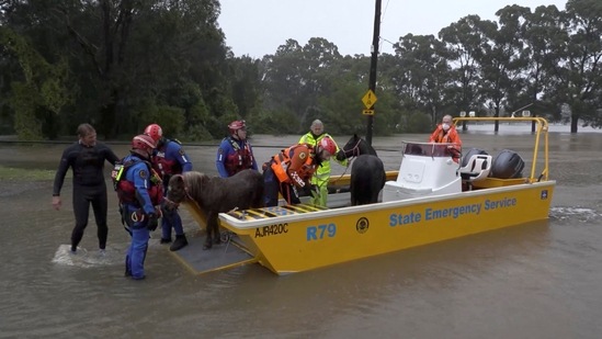 An emergency crew rescues two ponies from a flooded area in Milperra, Sydney metropolitan area, Australia July 3, 2022 in this screen grab obtained from a handout video. (via REUTERS)