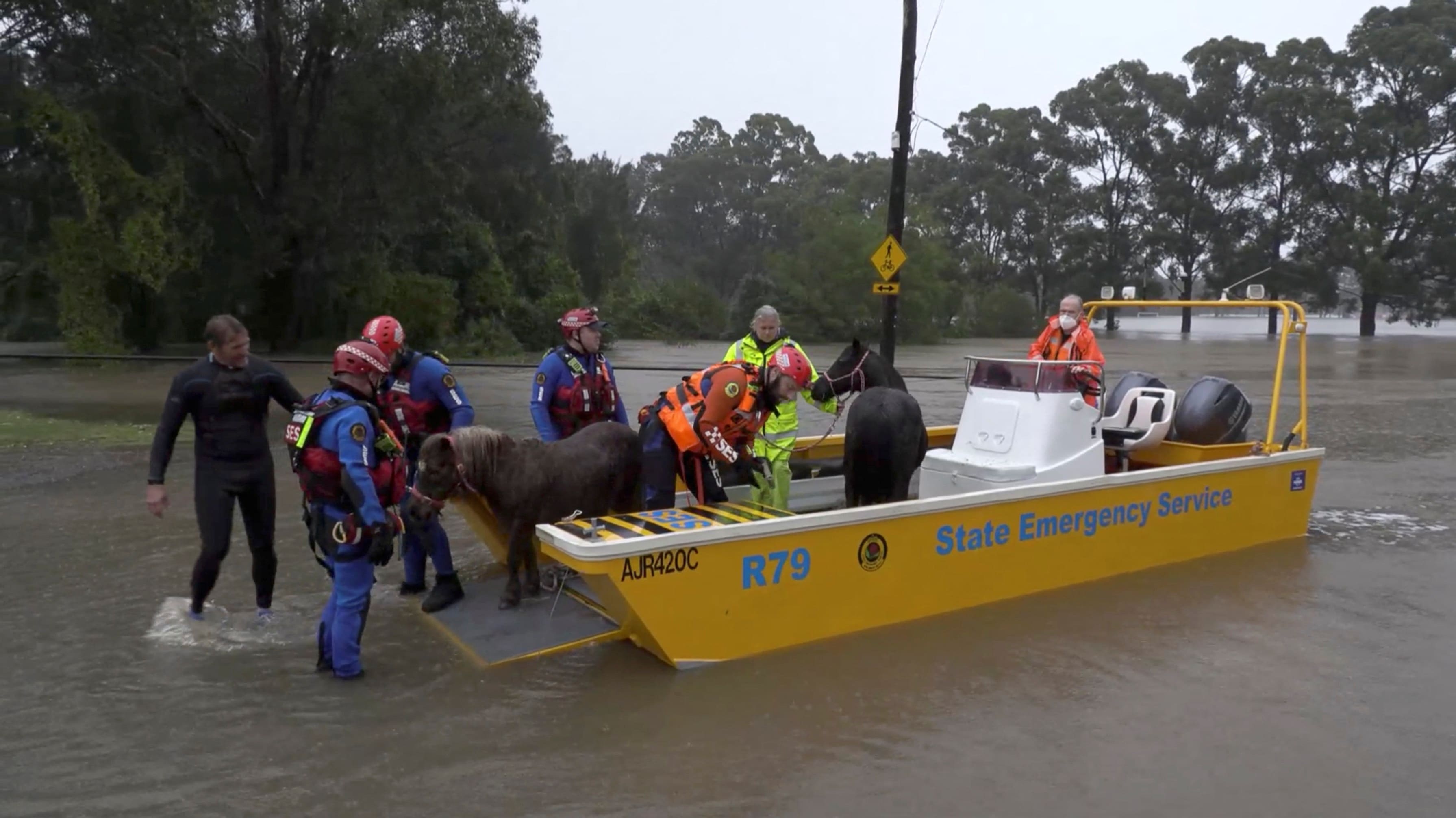 An emergency crew rescues two ponies from a flooded area in Milperra, Sydney metropolitan area, Australia July 3, 2022 in this screen grab obtained from a handout video.&nbsp; (via REUTERS)