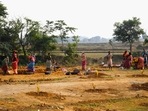 A shift of the labour force from urban to rural areas was also seen — but only for women. (File Photo) A shift of the labour force from urban to rural areas was also seen — but only for women. (File Photo)