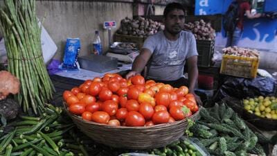 Tomato price dropped by 50% after an improvement in supply in Chandigarh. (HT File)