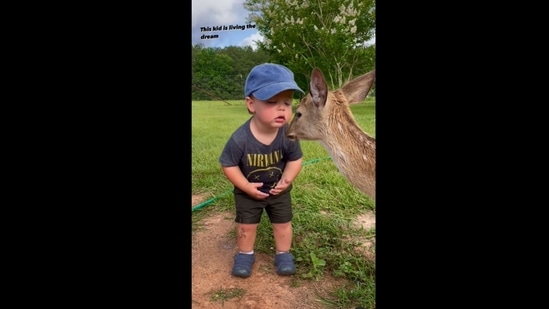 The little boy kissed the baby deer and it's just adorable to watch. (jesseramirez89/Instagram) The little boy kissed the baby deer and it's just adorable to watch. (jesseramirez89/Instagram)