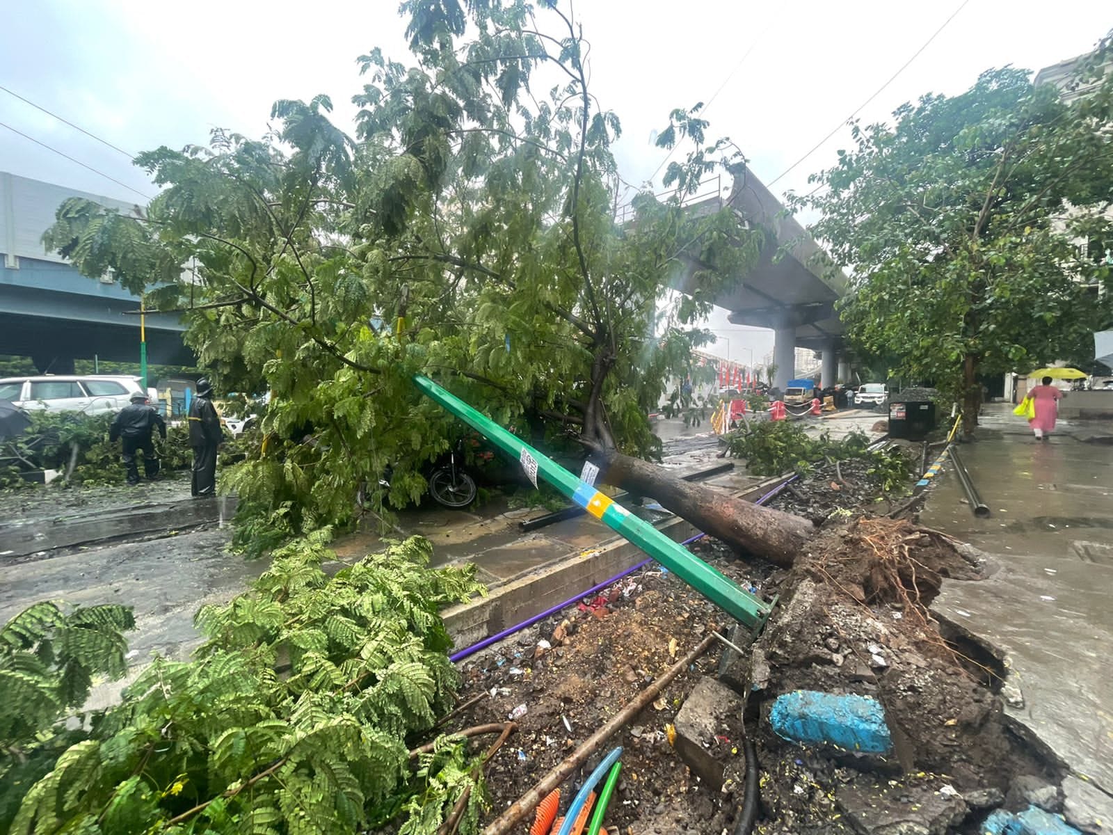 After heavy rain tree and street light pole collapsed at lousewadi service road. (Praful Gangurde HT/ photos)