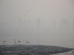 Pollution this summer worst in four years; experts say dry spell to blame (HT PHOTO) Pollution this summer worst in four years; experts say dry spell to blame (HT PHOTO)