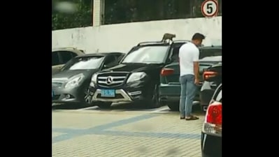 The image shows the cat on top of a car trying to scale a wall. (Screengrab)