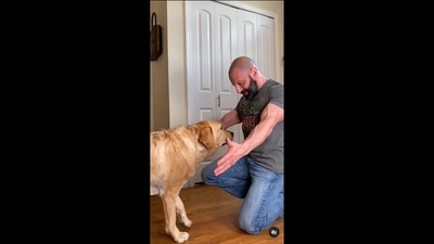 The image that shows the dog named Magnus and his human has been taken from the video shared on Instagram. (Instagram/@magnusthetherapydog) The image that shows the dog named Magnus and his human has been taken from the video shared on Instagram. (Instagram/@magnusthetherapydog)