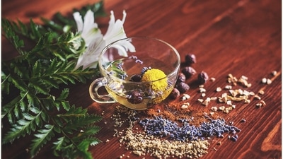 1. Ayurvedic Juices - Ayurvedic juices with their ultimate blend of authentic herbs help in managing diabetes naturally. Juices with a blend of Amla, Jamun seeds, and Karela are considered to be the best way of controlling blood sugar levels naturally. Apart from managing blood sugar levels, these juices help in boosting energy levels, regulating carbohydrate metabolism and supporting overall digestion. Make sure you consume these supplements after consulting with an Ayurvedic doctor for ideal results. (Unsplash) 1. Ayurvedic Juices - Ayurvedic juices with their ultimate blend of authentic herbs help in managing diabetes naturally. Juices with a blend of Amla, Jamun seeds, and Karela are considered to be the best way of controlling blood sugar levels naturally. Apart from managing blood sugar levels, these juices help in boosting energy levels, regulating carbohydrate metabolism and supporting overall digestion. Make sure you consume these supplements after consulting with an Ayurvedic doctor for ideal results. (Unsplash)