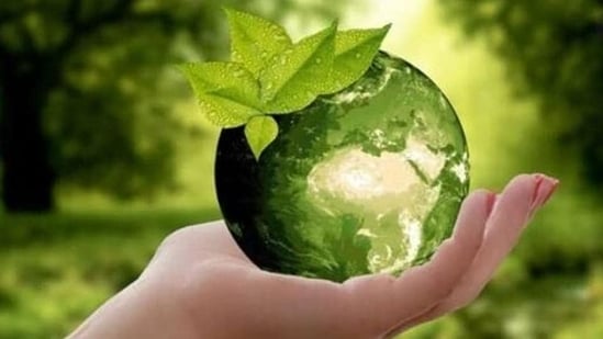 In just the fourth quarter of 2021, $143 billion in new capital flowed into ESG funds. That shows there's a lot of ESG capital floating around, so the temptation to greenwash is high.&nbsp;(Representative Image)
