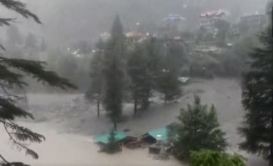 At least five cattle were washed away in flash floods in the Manikaran valley.&nbsp; (ANI screengrab)