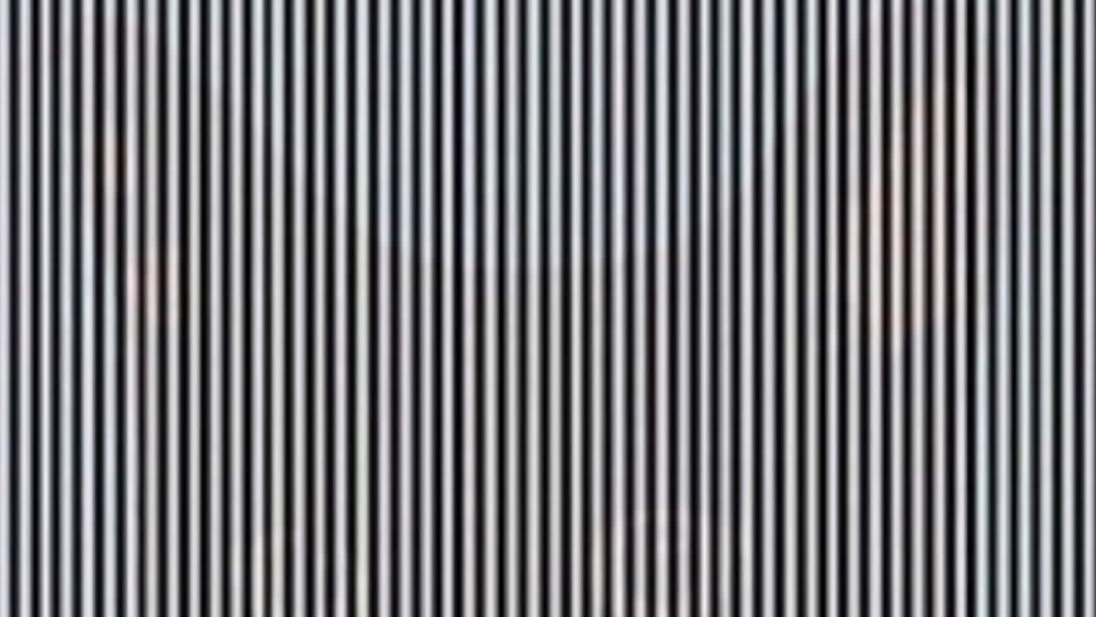 There’s an animal hidden in this optical illusion. Shake your head to