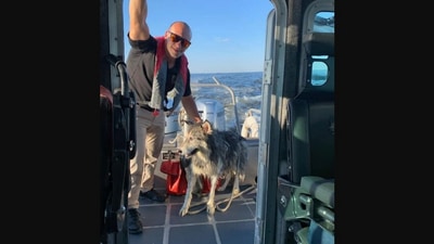The image shows the Siberian husky that was rescued and reunited with its human. (Facebook/@Monmouth County Sheriff's Office )