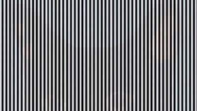 The optical illusion with an animal hidden in it has left people intrigued. (Twitter/@medickinson)