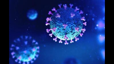 Karnal reports first Covid death in five months (Shutterstock)