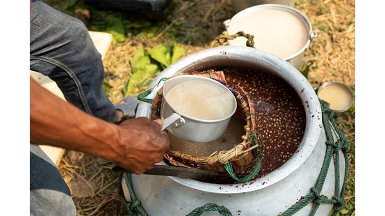Marua is planted, harvested, winnowed and threshed before it is brewed into Eu. It used to be stored in earthen pots, and is now stored in large aluminium ones. The Totos drink Eu on all important occasions, from birthing ceremonies to funerals. When a marital match is fixed, the two families also exchange large pots filled with freshly soaked marua seeds. No Toto wedding is complete without the exchange and consumption of Eu.(Abhijit AA / Totos of Totopara)