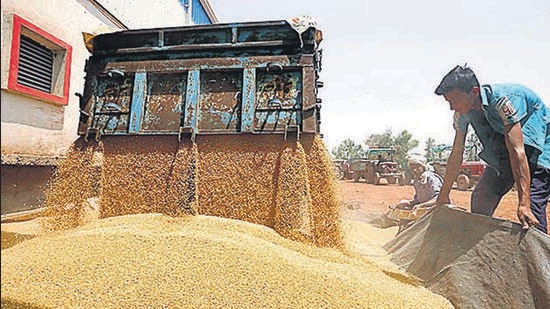 India is the world’s second-largest wheat grower. (ANI)