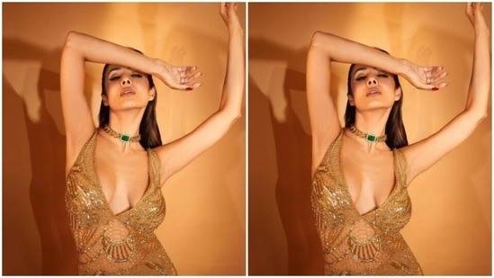 Malaika’s golden gown featured a plunging neckline, translucent details and intricate embroidery in golden resham threads. The bodycon gown cascaded to her ankles and made her look right out of a fairytale.(Instagram/@malaikaaroraofficial)