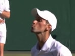 Novak Djokovic celebration Novak Djokovic celebration
