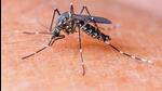 According to WHO, malaria is a life-threatening disease caused by Plasmodium parasites that are transmitted to people through the bites of infected female Anopheles mosquitoes. According to WHO, malaria is a life-threatening disease caused by Plasmodium parasites that are transmitted to people through the bites of infected female Anopheles mosquitoes.