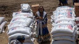 ARQUIVO - Uma mulher etíope ao lado de sacos de trigo para serem distribuídos pela Sociedade de Socorro de Tigray na cidade de Agula, na região de Tigray, no norte da Etiópia, no sábado. 