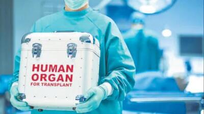 Liver and heart are among the most shared organs for transplant by PGIMER. (HT File) Liver and heart are among the most shared organs for transplant by PGIMER. (HT File)