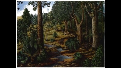 An estimation of what the forests of the floating subcontinent might have looked like. (Bande and Chandra, 1990) An estimation of what the forests of the floating subcontinent might have looked like. (Bande and Chandra, 1990)