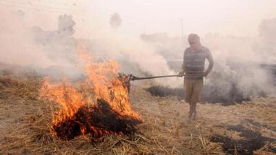 Punjab farmers resort to stubble burning every harvest season, leading to air pollution. (PTI FILE PHOTO)