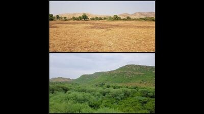 Barren former farmland ‘rewilded’ by naturalists Aditya Dicky Singh and Poonam Singh in Rajasthan. In some parts of India, private citizens are using rewilding to great effect. The Singhs have bought 50 acres adjacent to the Ranthambore tiger reserve in Rajasthan. They eradicate invasive species and monocultures, work to restore water bodies, then just step back and let Nature take its course. (Aditya Dicky Singh) Barren former farmland ‘rewilded’ by naturalists Aditya Dicky Singh and Poonam Singh in Rajasthan. In some parts of India, private citizens are using rewilding to great effect. The Singhs have bought 50 acres adjacent to the Ranthambore tiger reserve in Rajasthan. They eradicate invasive species and monocultures, work to restore water bodies, then just step back and let Nature take its course. (Aditya Dicky Singh)