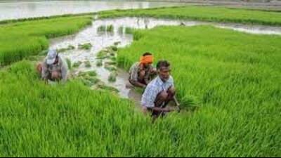 Agriculture minister Surya Pratap Shahi said the government had forwarded one more scheme to the Centre, seeking the inclusion of 20 more districts under the scheme that seeks to promote natural farming in the districts along the river Ganga. (FOR REPRESENTATION PURPOSE) Agriculture minister Surya Pratap Shahi said the government had forwarded one more scheme to the Centre, seeking the inclusion of 20 more districts under the scheme that seeks to promote natural farming in the districts along the river Ganga. (FOR REPRESENTATION PURPOSE)