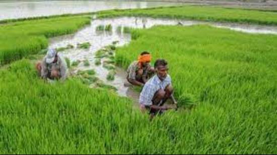Agriculture minister Surya Pratap Shahi said the government had forwarded one more scheme to the Centre, seeking the inclusion of 20 more districts under the scheme that seeks to promote natural farming in the districts along the river Ganga. (FOR REPRESENTATION PURPOSE)