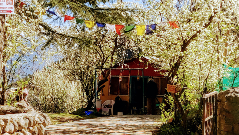 Traditional Tibetan Prayer Flags strung across a path in Manali.&nbsp;