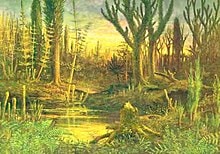 An estimation of what the forest of the Devonian period might have looked like. (Wikimedia Commons) An estimation of what the forest of the Devonian period might have looked like. (Wikimedia Commons)