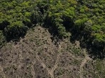An aerial view shows a deforested plot of the Amazon rainforest in Manaus, Amazonas State, Brazil.(REUTERS)