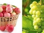 Apples are rich in soluble fibre while grapes help remove all the bad cholesterol from the liver.(Pixabay) Apples are rich in soluble fibre while grapes help remove all the bad cholesterol from the liver.(Pixabay)