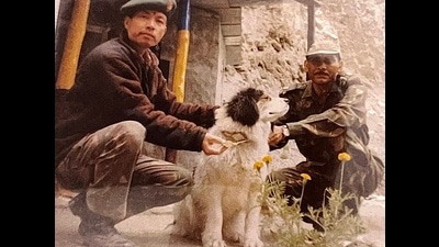 Then Col. Konsam Himalay Singh pinning his Commendation medal on Pisti at Siachen. (HT PHOTO )